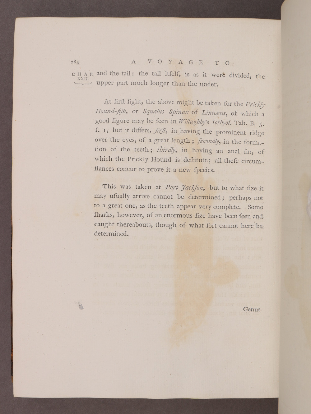 Page 284